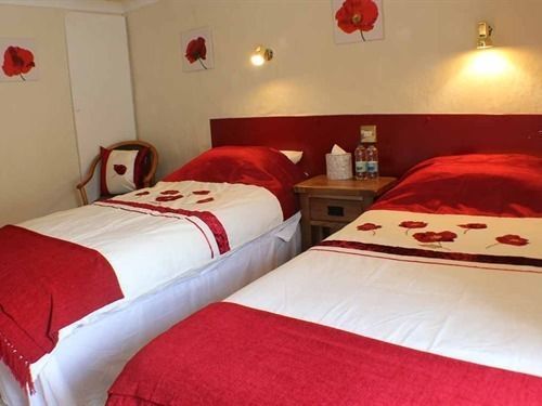 Afon Duad Inn Cwm-Duad エクステリア 写真